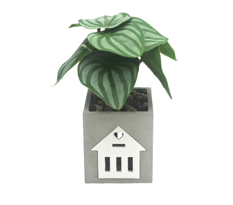 क्या वॉयस कंट्रोल और ऑटोमेशन के लिए, स्मार्ट होम सिस्टम के साथ एलईडी सीमेंट लैंप संगत है?